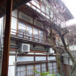 気付けばふらり、信濃路へ。~春の花味湯寺社旅 2日目 ①~