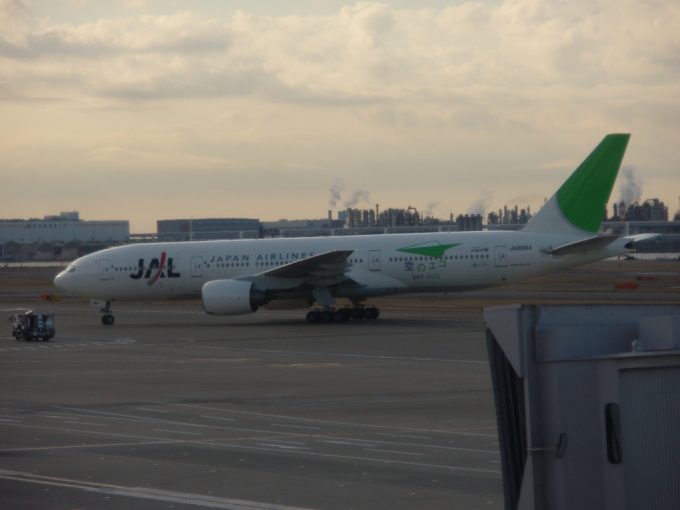 JAL緑色の特別塗装機