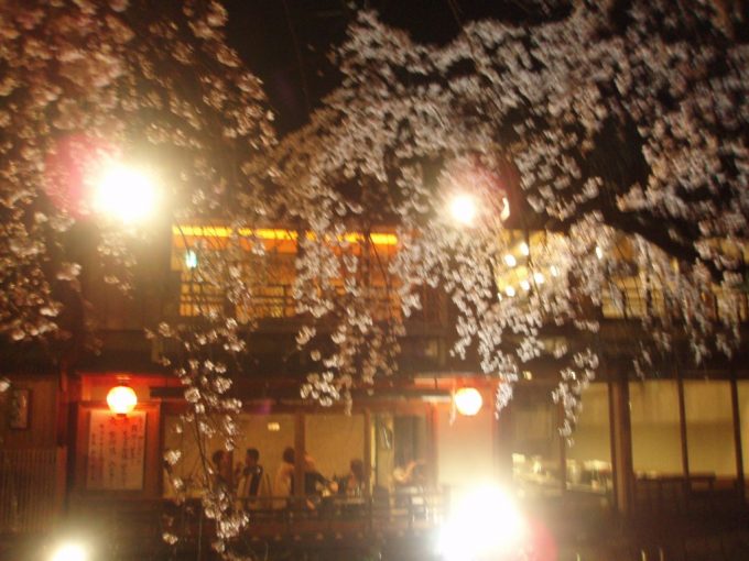 祇園の灯りに照らされる夜桜