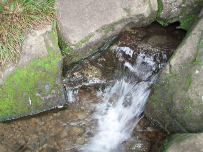 野川公園の勢いよく湧く清水
