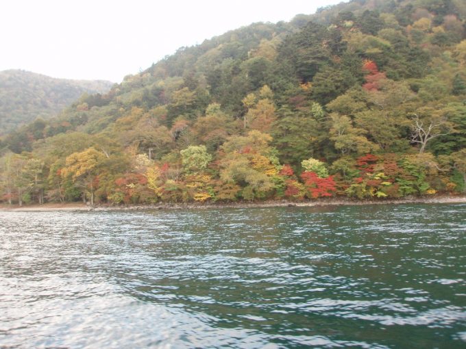 総天然色に彩られた鮮やかな中禅寺湖の紅葉