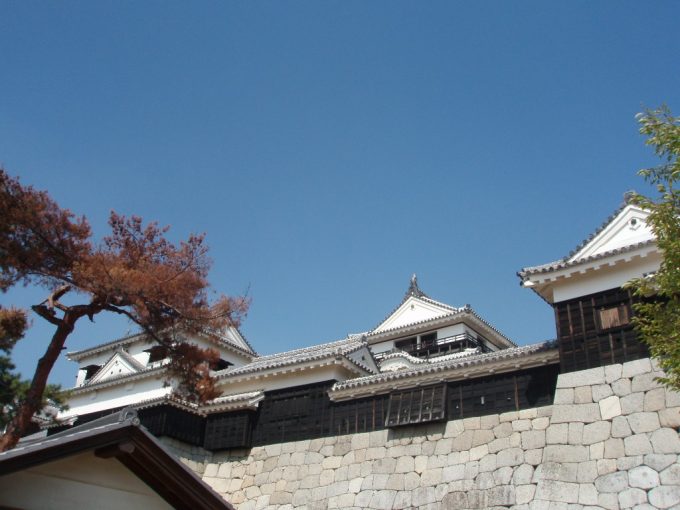 松山城と石垣