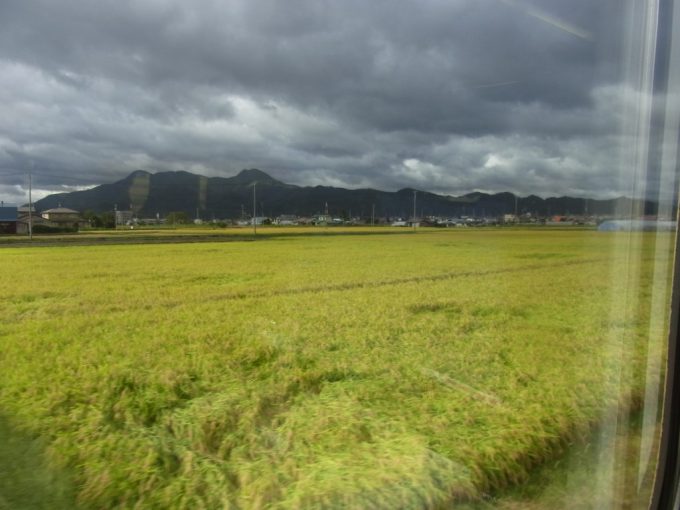 秋田新幹線こまち車窓に広がる黄金色の田んぼ日本の秋