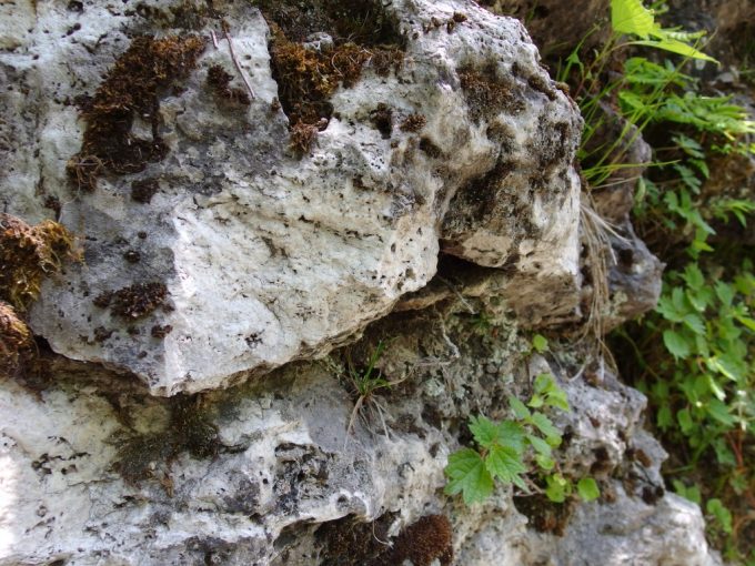 白骨温泉の成分の濃さを物語る噴湯丘の石灰岩