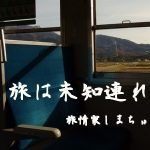 2019年ブログ納め 干支、一回り。