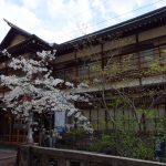 桜に彩られる春の湯田中渋温泉湯本旅館