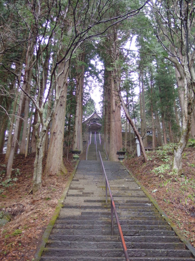 戸隠神社宝光社立派な杉木立の中のびる長い石段