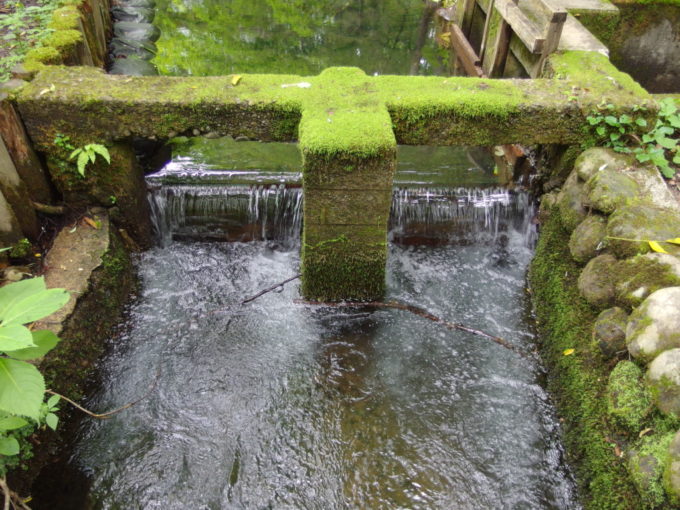 夏の青森蔦沼遊歩道水門を流れる豊かな水