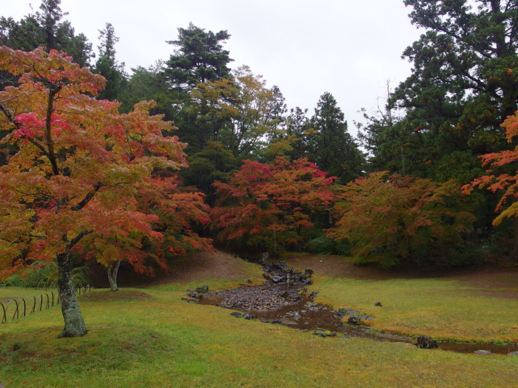 秋の平泉毛越寺紅葉に彩られる遣水