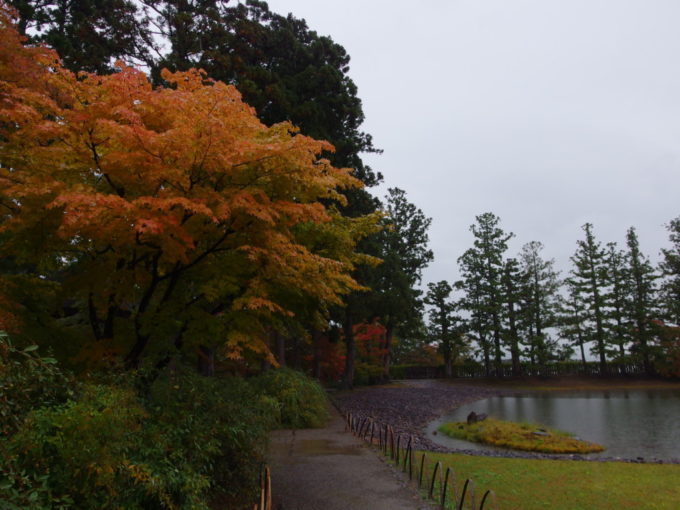 秋の平泉毛越寺大泉が池の浜辺を染める色づき始めの紅葉