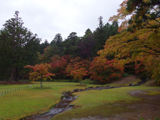 秋の平泉毛越寺遣水を彩る紅葉