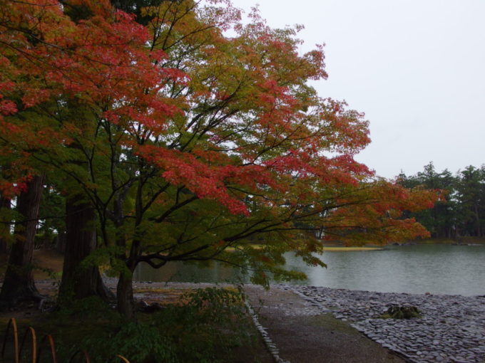 秋の平泉毛越寺グラデーションに染まる立派な紅葉