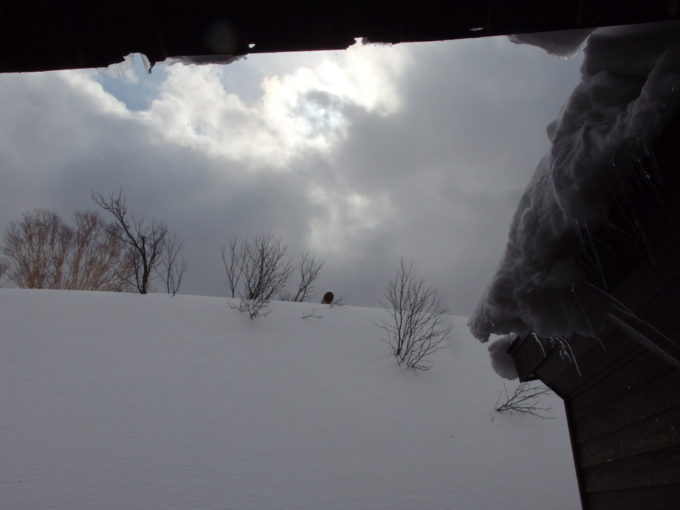 冬の酸ヶ湯温泉旅館部屋から見上げる雲の切れ間
