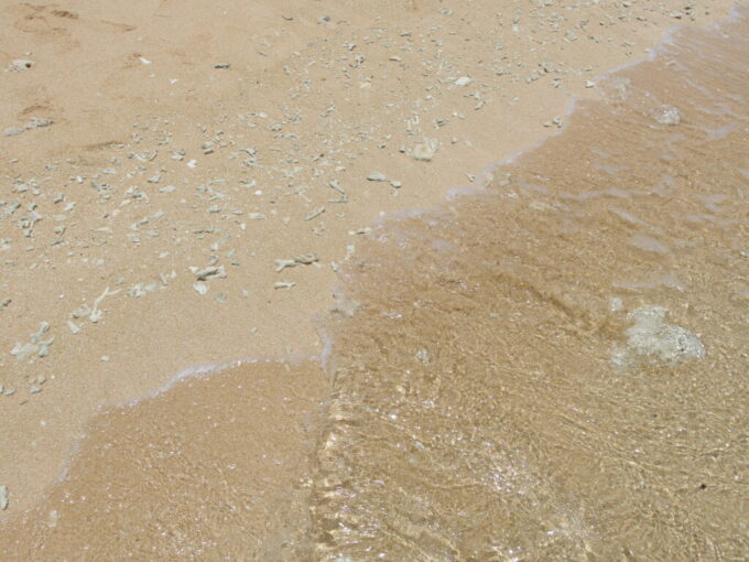 6月下旬人の少ない有人島日本最南端波照間島清らかな波に洗われるニシ浜の珊瑚