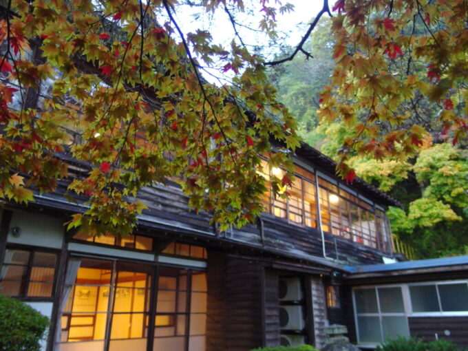 10月下旬秋の大沢温泉湯治屋色付き始めの紅葉と菊水舘