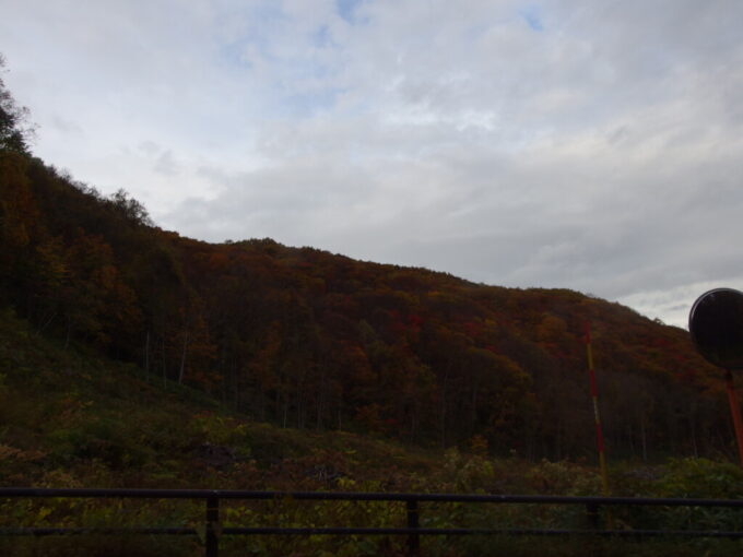 10月下旬秋の岩手藤七温泉送迎車車窓を彩る樹海ラインの紅葉