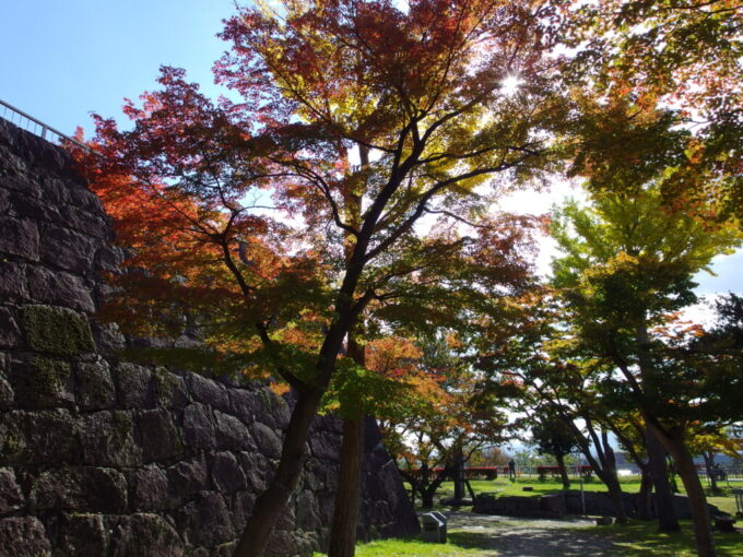 10月下旬秋の盛岡城跡秋の陽に透かされた紅葉のレース