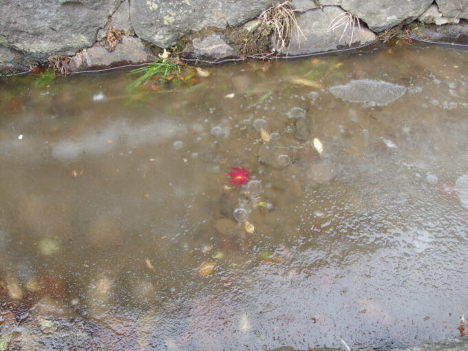 1月中旬冬の下諏訪用水路に封じ込められた紅葉秋の季節