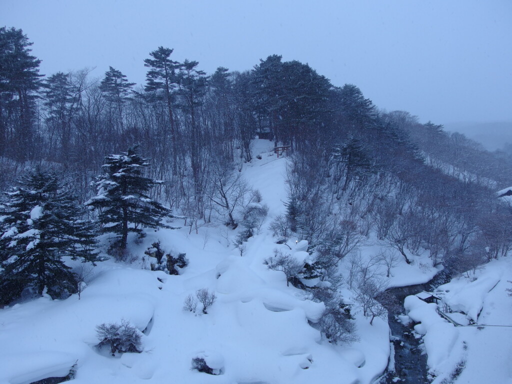 2月中旬冬の高湯温泉旅館玉子湯雪の舞い散る朝
