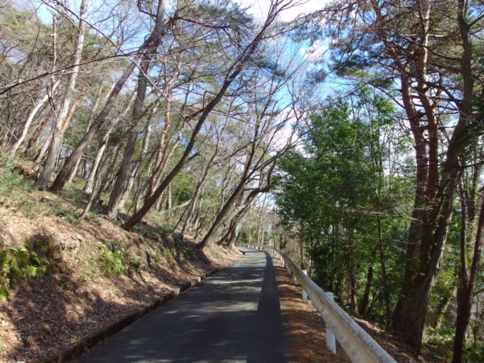 2月中旬冬の福島信夫山へと登る車道
