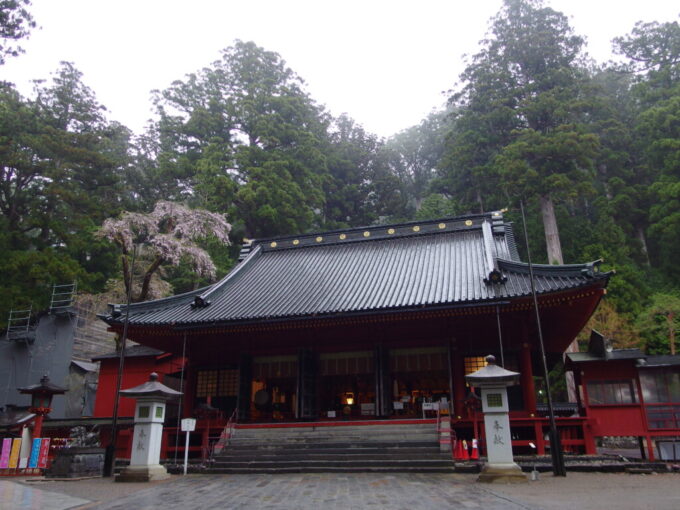 4月中旬雨の日光二荒山神社立派な拝殿でお参りを
