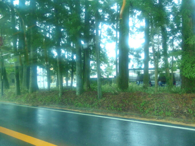 4月中旬雨の日光関東自動車車窓から望む日光例幣使街道杉並木