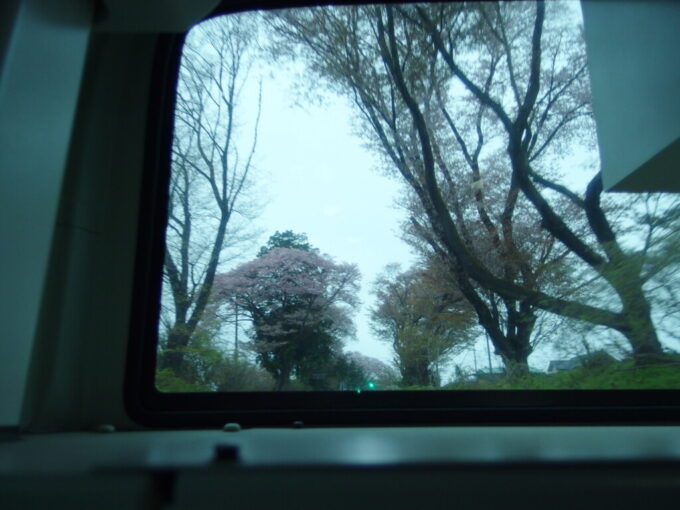 4月中旬雨の日光関東自動車車窓から眺める名残りの桜並木