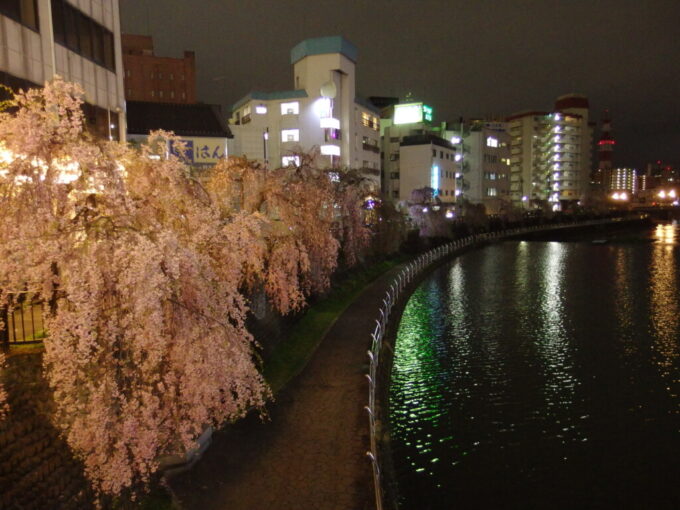 4月中旬宇都宮夜の川面に映える枝垂桜