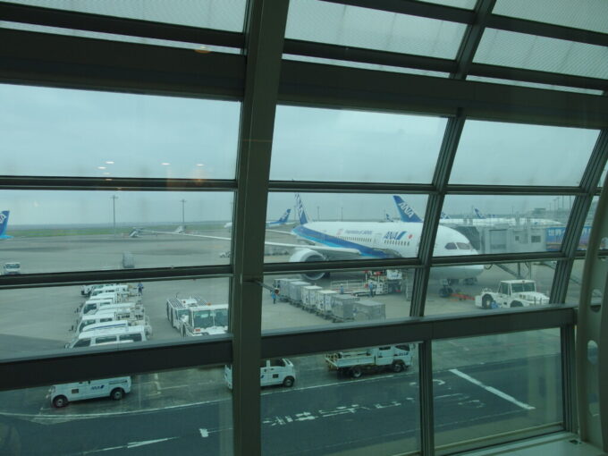 6月中旬雨の羽田空港第2ターミナル国際線仕様のANA787那覇行き
