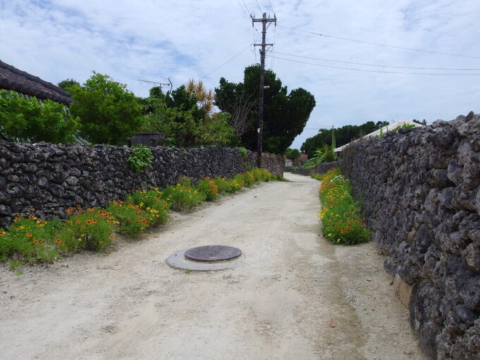 6月中旬梅雨明け間近の竹富島黒い石垣の足元を飾る豊かな緑