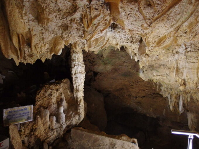 6月中旬梅雨明け直後の石垣島石垣島鍾乳洞の成長の早い鍾乳石
