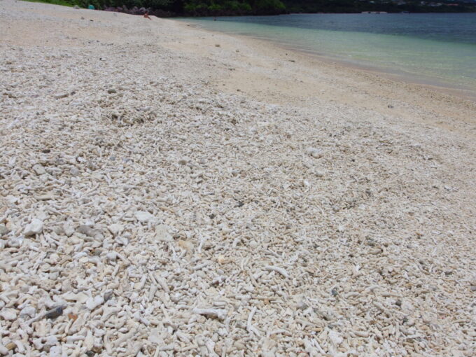 6月中旬梅雨明け直後の石垣島無数の珊瑚が堆積する米原ビーチ