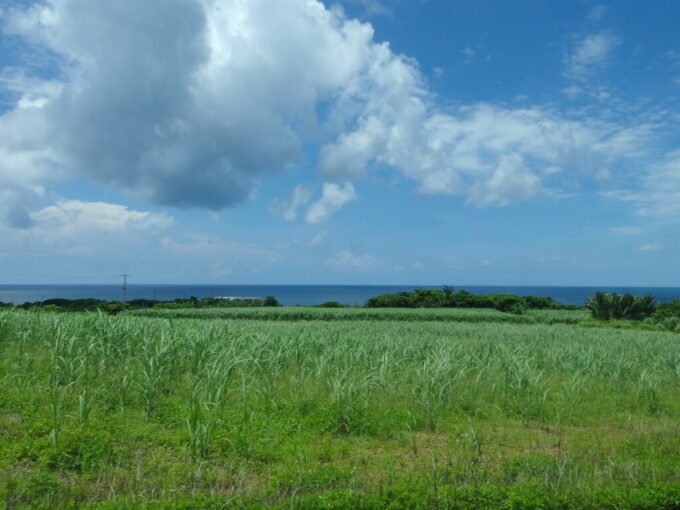 6月中旬梅雨明け直後の石垣島東バスより眺める今年最後の海