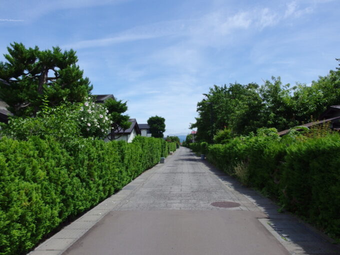 8月上旬夏の弘前仲町の美しい生垣