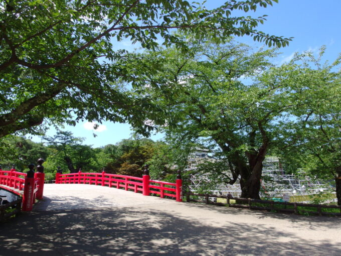8月上旬夏の弘前緑豊かな桜に彩られる下乗橋