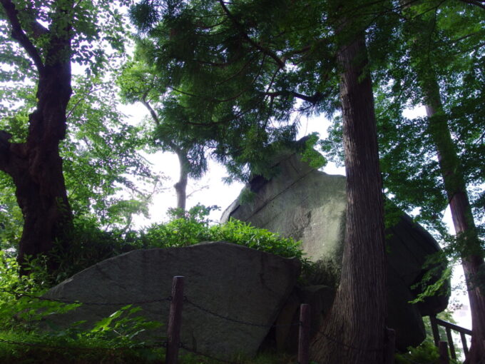 8月上旬夏の盛岡豊かな緑に守られる烏帽子岩