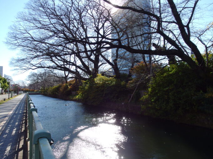 12月下旬師走の高崎冬の陽射しに煌めく三の丸のお堀