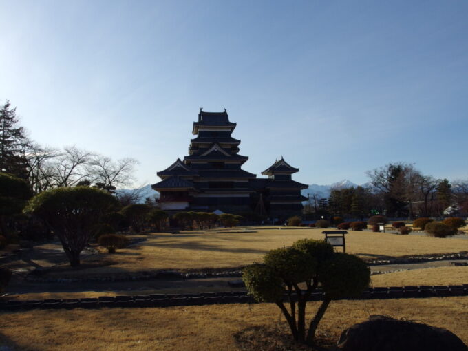 2月上旬冬晴れの松本城本丸御殿跡の庭園から望む天守閣とアルプスの山