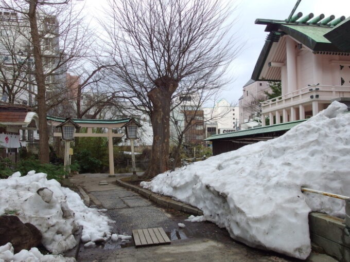3月中旬春まだ浅い青森善知鳥神社に積もる分厚い残雪