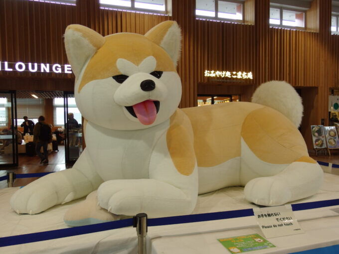 3月中旬春まだ浅い秋田駅改札口で旅人を出迎える巨大な秋田犬