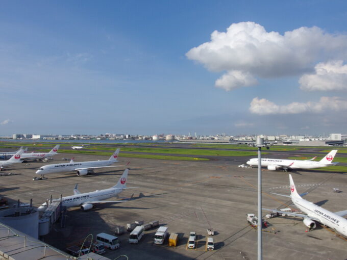 6月下旬羽田空港第1ターミナル展望デッキから望む青空と鶴丸たち
