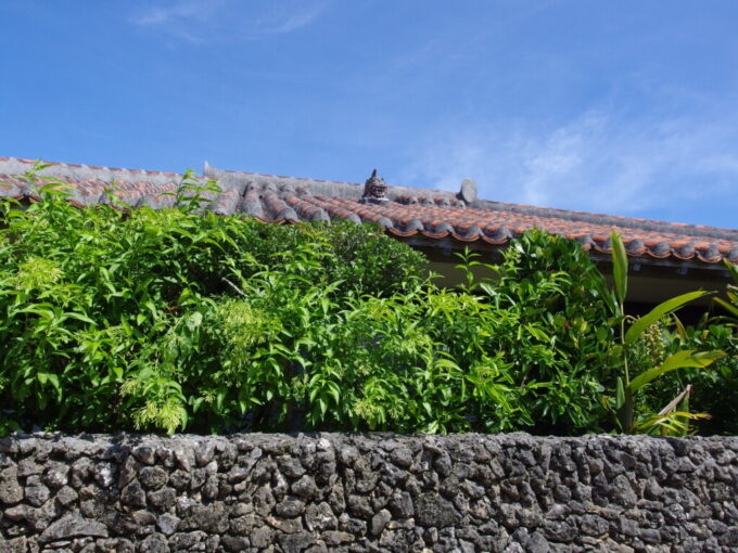 6月下旬梅雨明け直後の竹富島珊瑚の石垣と豊かな緑、赤瓦に佇むかわいいシーサー
