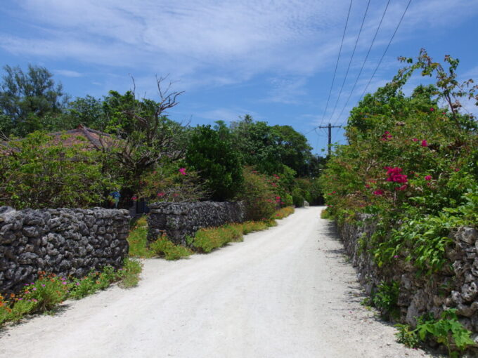 6月下旬梅雨明け直後の竹富島ごつごつとした珊瑚の石垣に咲き乱れる花々と赤瓦の家