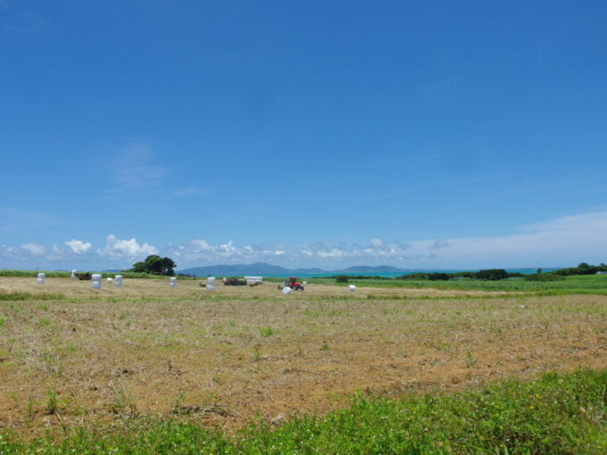 6月下旬梅雨明け直後の小浜島シュガーロード鮮烈な碧い海をバックに牧草をラップで巻いてゆくトラクター