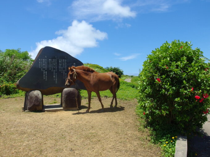 6月下旬梅雨明け直後の小浜島山の子守唄歌碑と馬