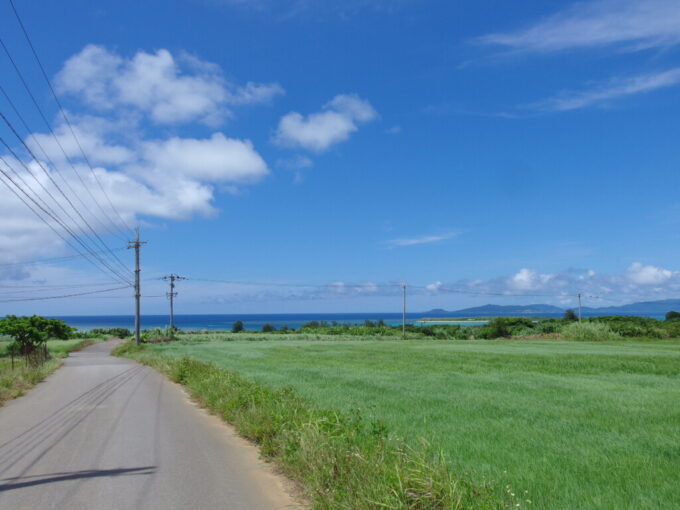 6月下旬梅雨明け直後の小浜島風にしなやかに揺れる草原と海へと続く一本道