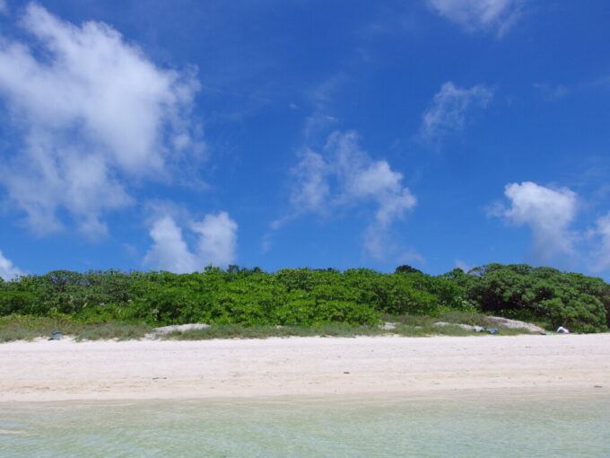 6月下旬梅雨明け直後の竹富島コンドイビーチ海に浸かり陸を振り返れば緑と青空の強烈なコントラスト