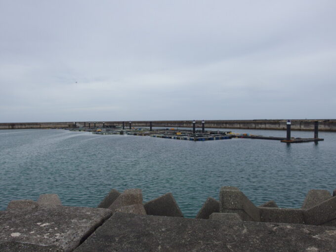 6月下旬梅雨明け直後の石垣島八島魚類養殖場