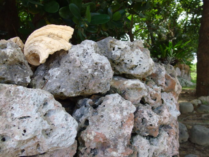 6月下旬梅雨明け直後の竹富島石垣を形作る天然素材たち