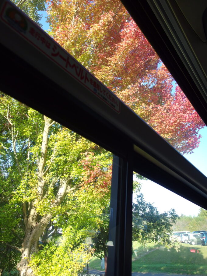 11月上旬日東交通高速バスアクシー号車窓一杯に広がる色づきはじめの紅葉